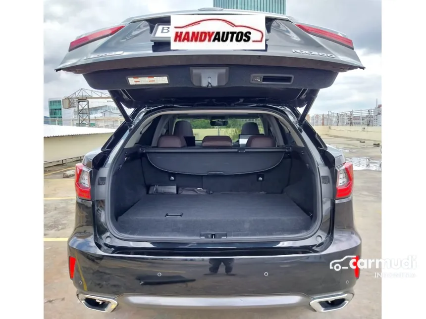 2019 Lexus RX 300 Luxury SUV