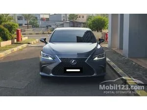 2019 Lexus ES 300h 2.5 Ultra Luxury Sedan
