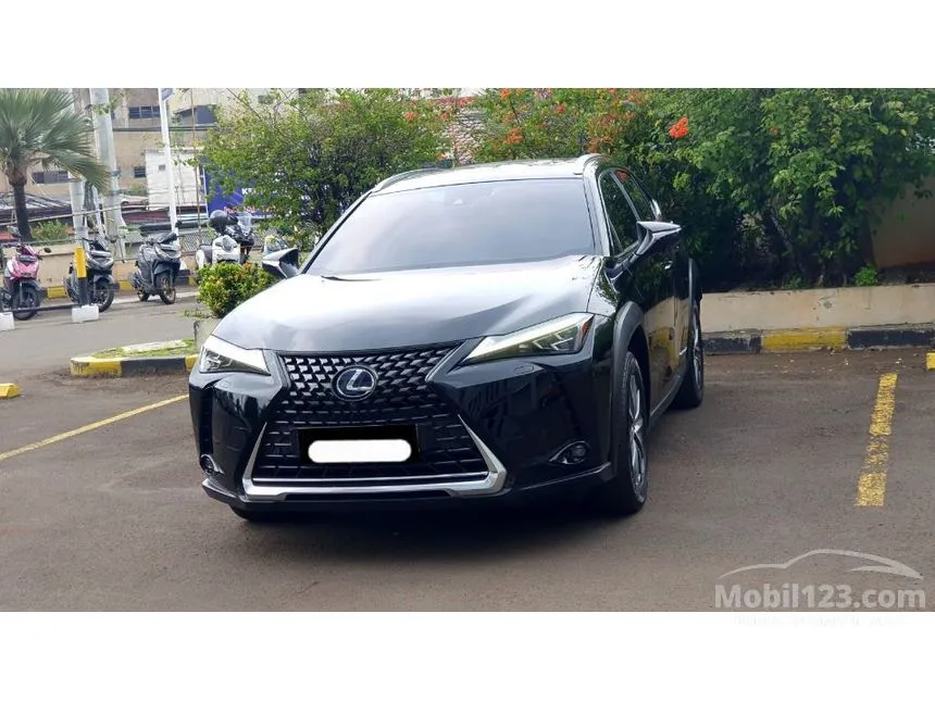 2022 Lexus UX 300e SUV