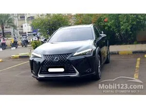 2022 Lexus UX 300e SUV