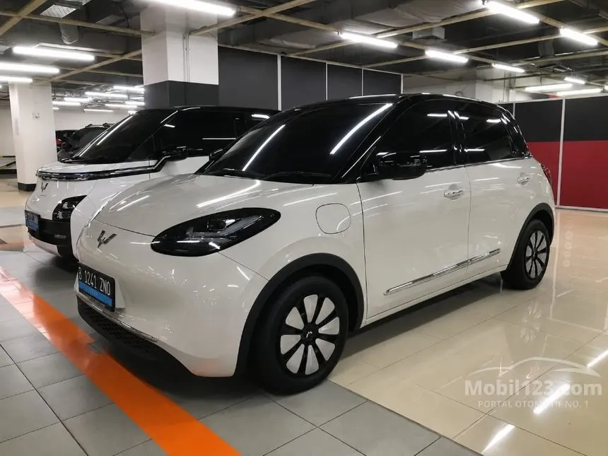 2024 Wuling Binguo EV 333 Long Range AC/DC Hatchback