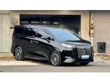 2025 Denza D9 0.0 Advanced MPV