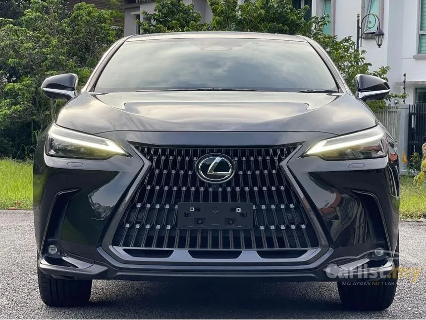 2022 Lexus NX250 Luxury SUV