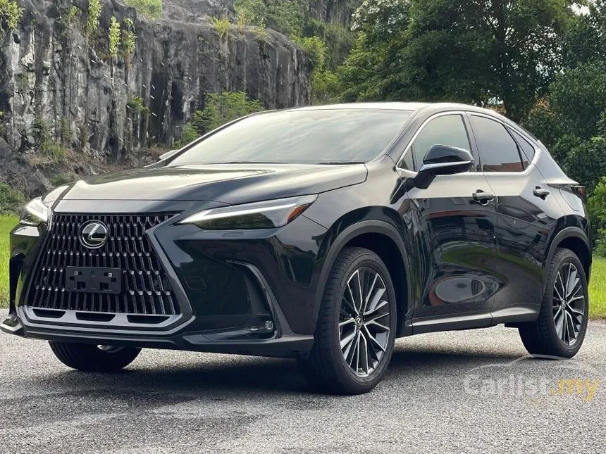 2022 Lexus NX250 Luxury SUV