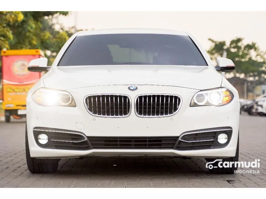 2014 BMW 520i Luxury Sedan