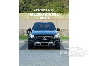 2013 Mercedes-Benz ML250 2.1 CDI SUV