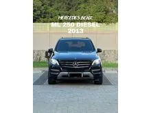 2013 Mercedes-Benz ML250 2.1 CDI SUV