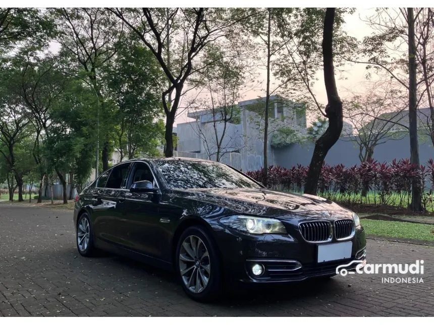 2015 BMW 520i Luxury Sedan