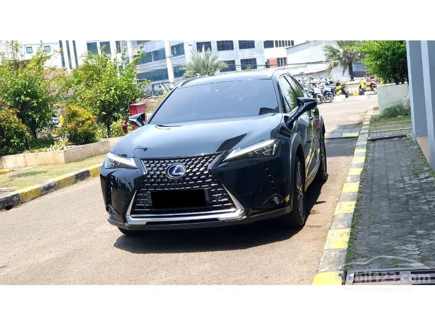 2022 Lexus UX 300e SUV