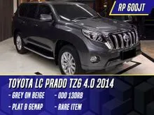 2014 Toyota Land Cruiser Prado 4.0 TZ G SUV TZ-G TZG LC Grey on Beige Abu-abu abu Rare Item